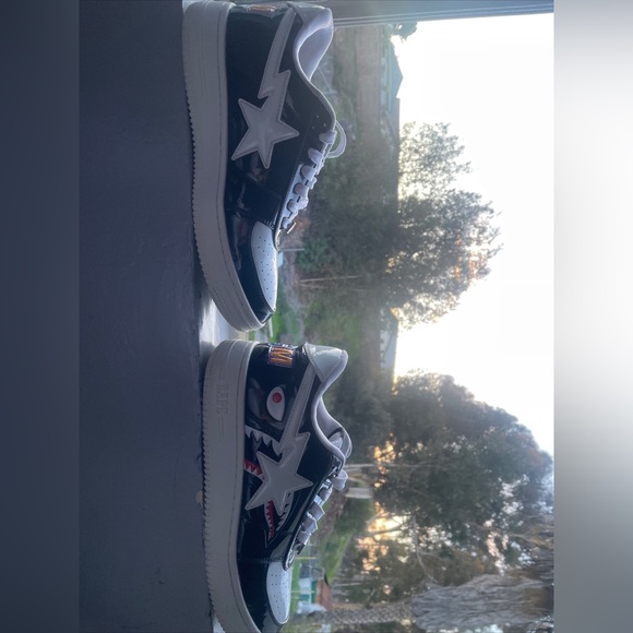 Bape stas shark